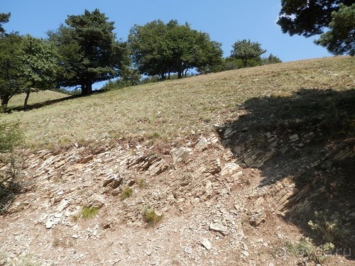 Ялта - по местам царской охоты