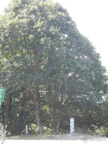 Ялта - по местам царской охоты