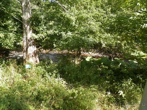 Ялта - по местам царской охоты