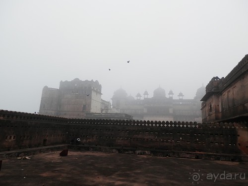 Альбом отзыва "Орчха, часть первая"