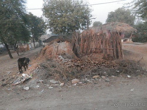 Орчха, часть первая