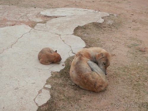 Орчха, часть первая