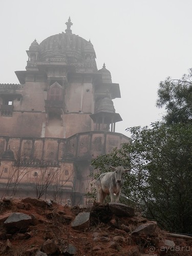 Орчха, часть первая