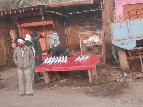 Орчха, часть первая