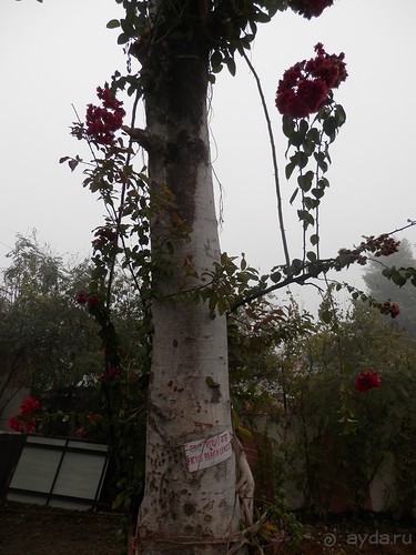 Орчха, часть первая