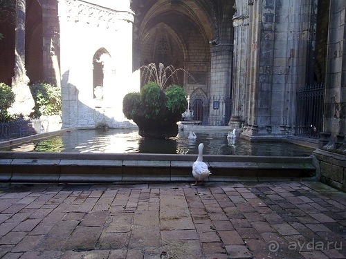 Барселона, Готический квартал и музей Маре