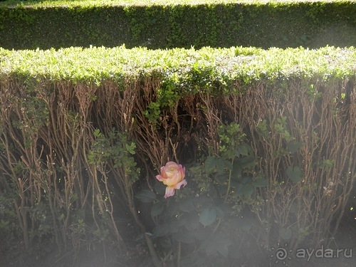 Гранада, продолжение