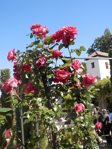 Гранада, продолжение