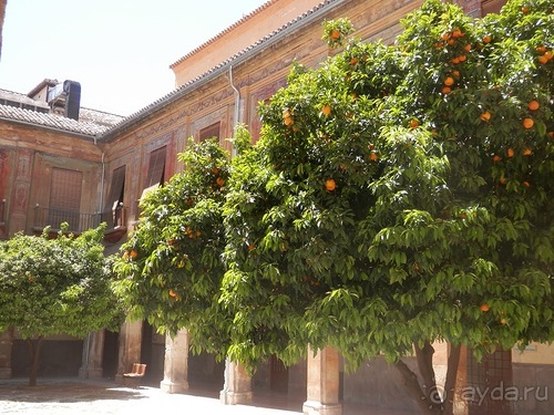 Гранада, продолжение