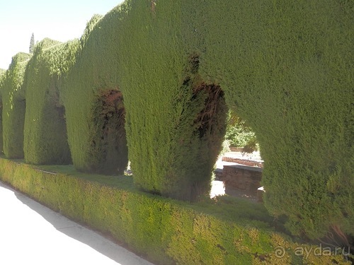 Гранада, продолжение