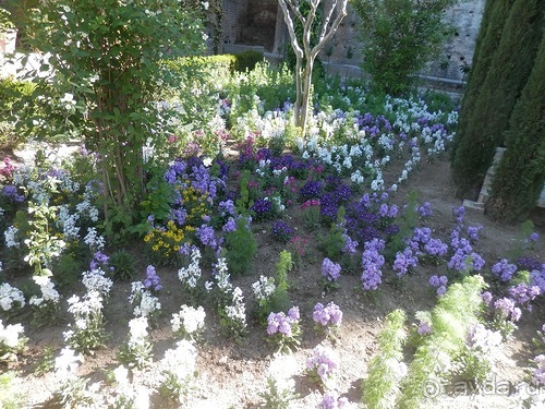 Гранада, продолжение