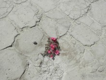 Парки, мавзолеи, рынки и музеи Бухары