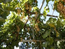 Парки, мавзолеи, рынки и музеи Бухары