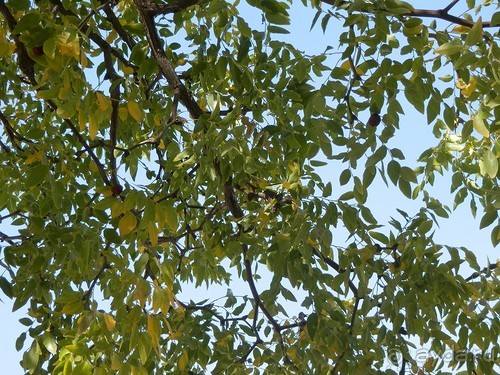 Парки, мавзолеи, рынки и музеи Бухары