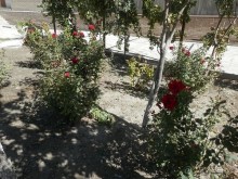 Парки, мавзолеи, рынки и музеи Бухары