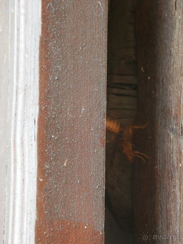 Парки, мавзолеи, рынки и музеи Бухары