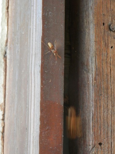 Парки, мавзолеи, рынки и музеи Бухары