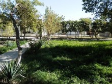 Парки, мавзолеи, рынки и музеи Бухары