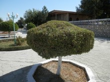 Парки, мавзолеи, рынки и музеи Бухары