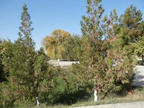 Парки, мавзолеи, рынки и музеи Бухары