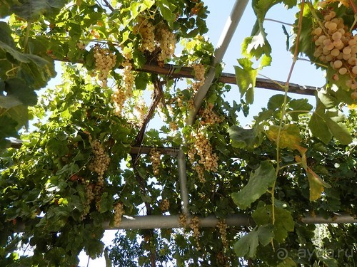 Парки, мавзолеи, рынки и музеи Бухары