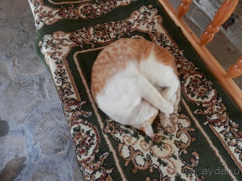 Парки, мавзолеи, рынки и музеи Бухары