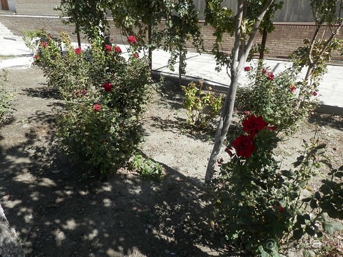 Парки, мавзолеи, рынки и музеи Бухары