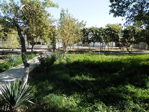 Парки, мавзолеи, рынки и музеи Бухары