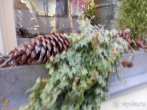 Вильнюс - первые впечатления