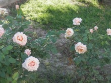 От Малаги до Севильи