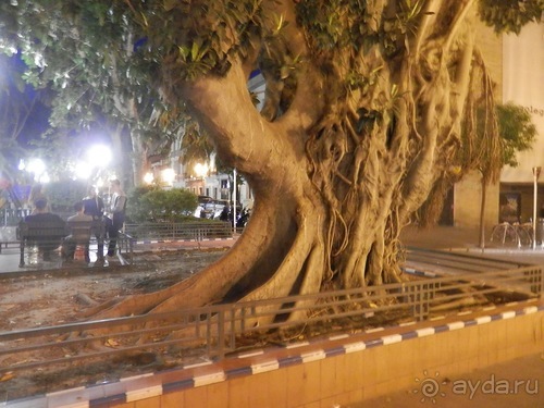 От Малаги до Севильи