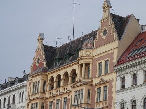 Вена - музеи и улицы