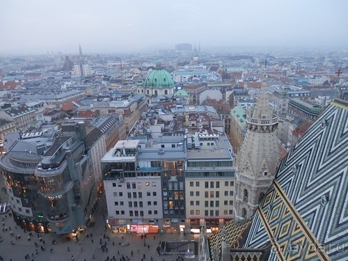 Вена - музеи и улицы