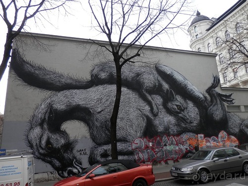 Вена - музеи и улицы