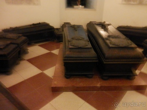 Вена - музеи и улицы