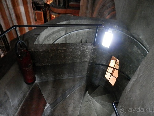 Вена - музеи и улицы