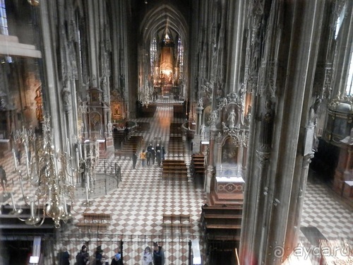 Вена - музеи и улицы