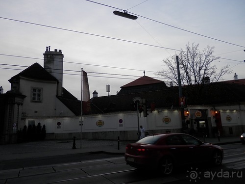 Вена - музеи и улицы