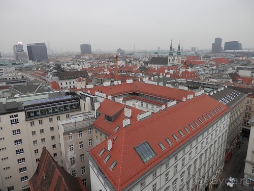 Вена - музеи и улицы