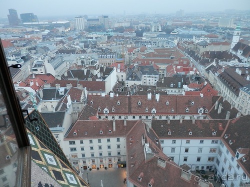 Вена - музеи и улицы