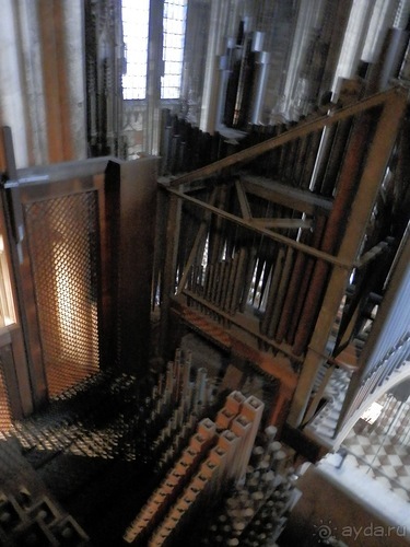 Вена - музеи и улицы