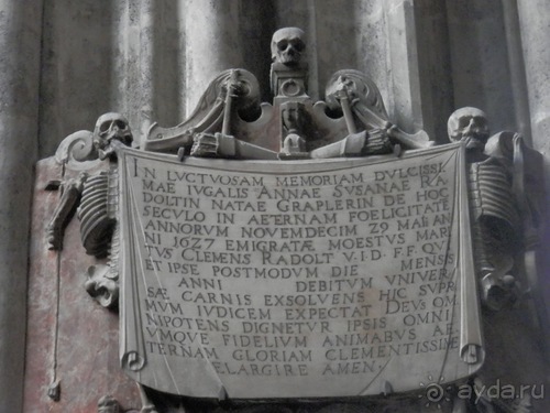 Вена - музеи и улицы