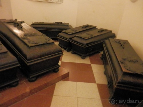 Вена - музеи и улицы