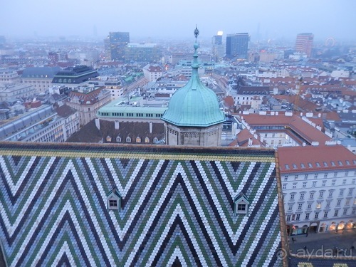 Вена - музеи и улицы