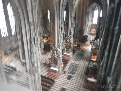 Вена - музеи и улицы