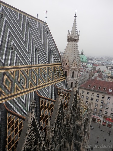 Вена - музеи и улицы