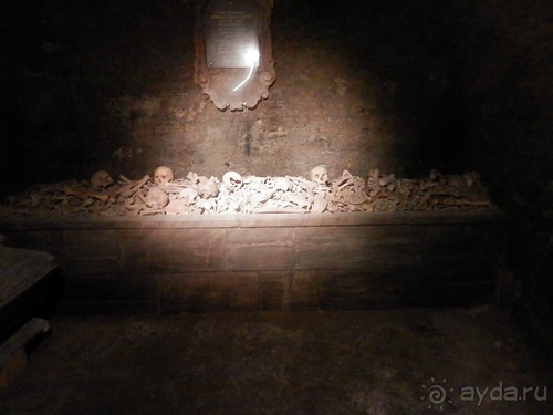 Вена - музеи и улицы