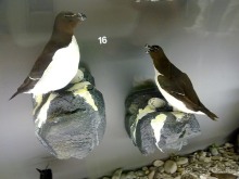 Исландия, день первый