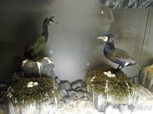 Исландия, день первый