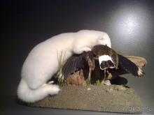 Исландия, день первый